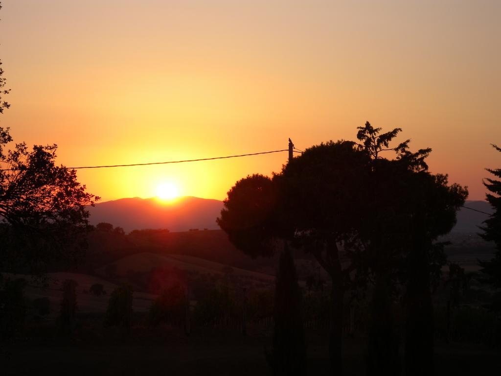 Poggio Lungo Guest House Grosseto Room photo